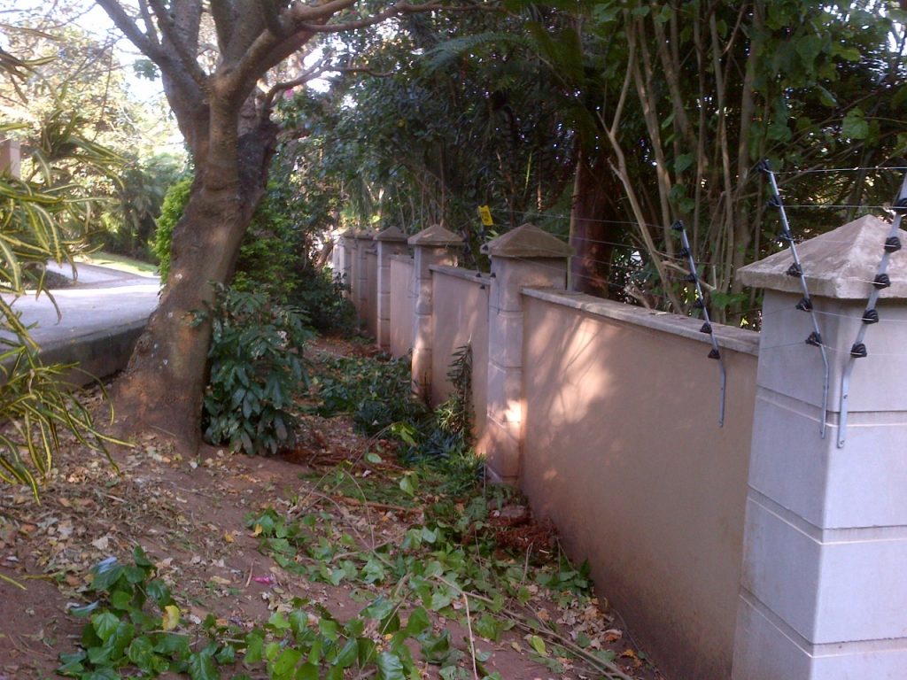 IMG 20251008 WA0106 1024x768